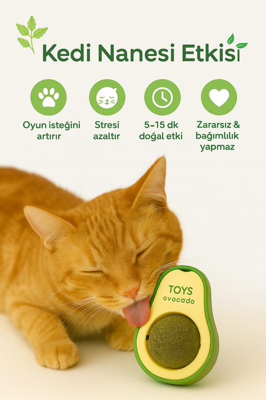 Yapışkanlı Avokado Şekilli Yenilebilir Kedi Nanesi – Catnip Otu Oyuncağı, Dayanıklı Plastik Kapaklı