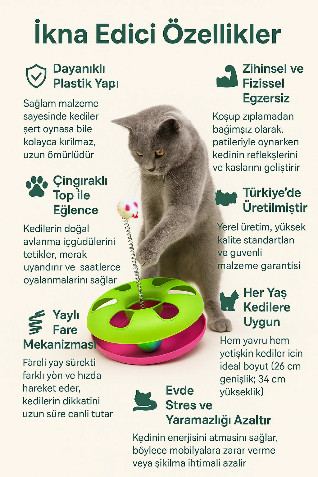 Kedi Oyun Çemberi – Enerji Atan Kedi Eğlence Aksesuarı, Yaylı Fare ve Çıngıraklı Top