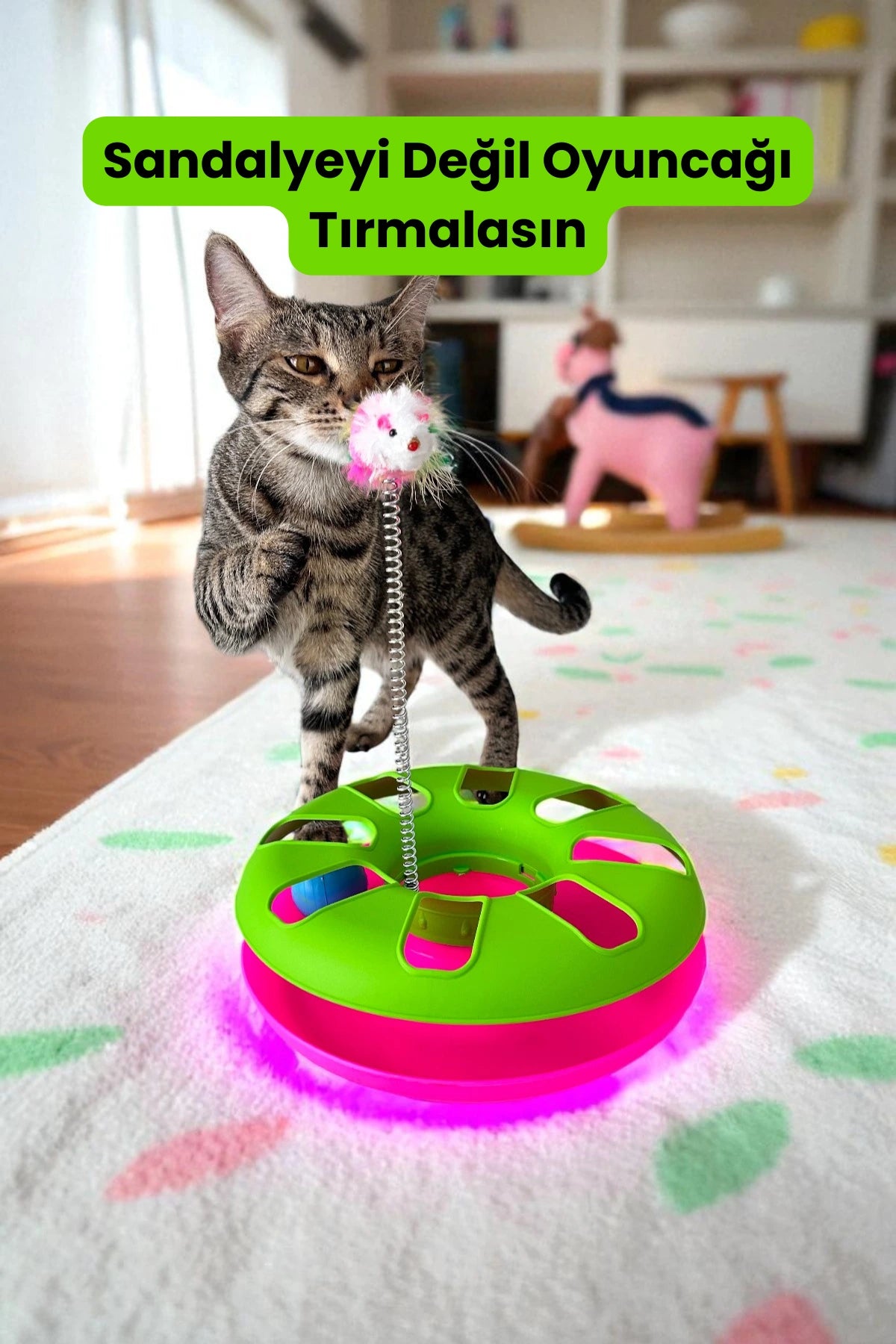 Kedi Oyun Çemberi – Enerji Atan Kedi Eğlence Aksesuarı, Yaylı Fare ve Çıngıraklı Top
